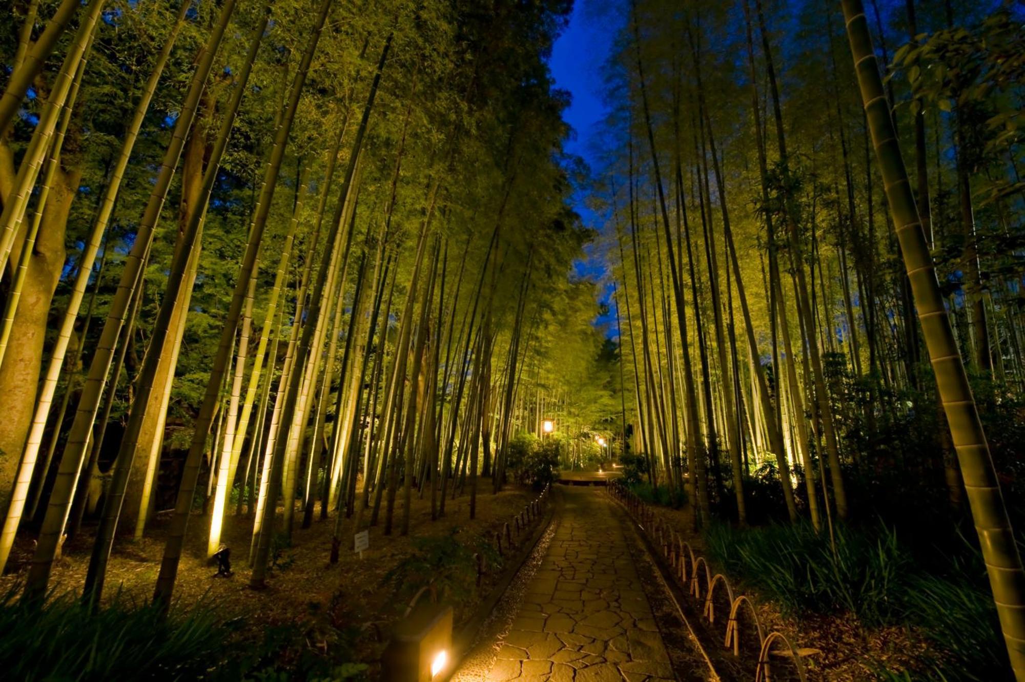 Marukyu Ryokan Идзу Экстерьер фото